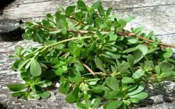 درمان خانگی فشارخون!