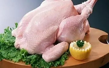 واقعا از پرندگان آنلوآنزا میگیریم؟! 