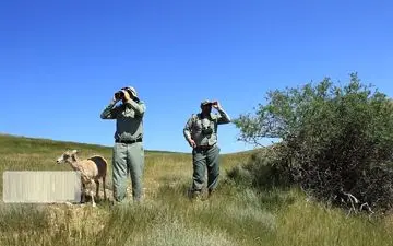 شکارچیان فاقد مجوز ۲ محیطبان سرخسی را مجروح کردند 