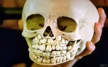 انگشت به دهان ماندن باستان شناسان درپی کشف عجیب + عکس
