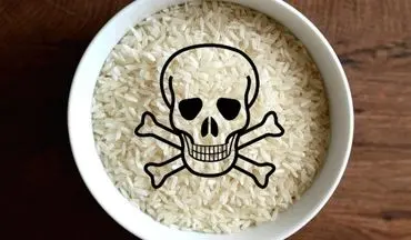سم ارسنیک موجود در برنج/ حمله به سلولهای عصبی!