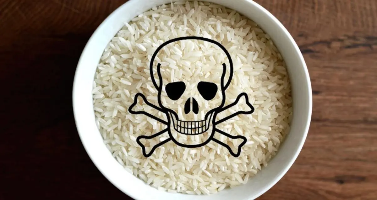 سم ارسنیک موجود در برنج/ حمله به سلولهای عصبی!