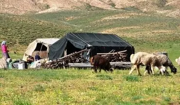  بیمه عشایر در سال ۱۴۰۱ رایگان می شود 