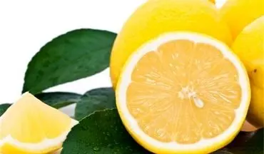 قیمت مصوب لیمو ترش اعلام شد+ سند
