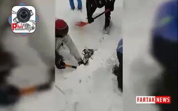  فیلم/ لحظه پیدا شدن پیکر کوهنورد گرفتار در بهمن ارتفاعات شمشک