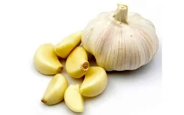 حبه‌های «سیر» را نباید بلعید

