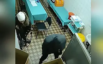 سرقت به سبک قرون وسطی + فیلم