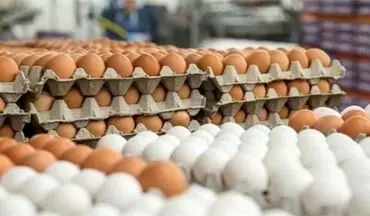 
قیمت مرغ، تخم‌مرغ، لبنیات و روغن تغییر خواهد کرد