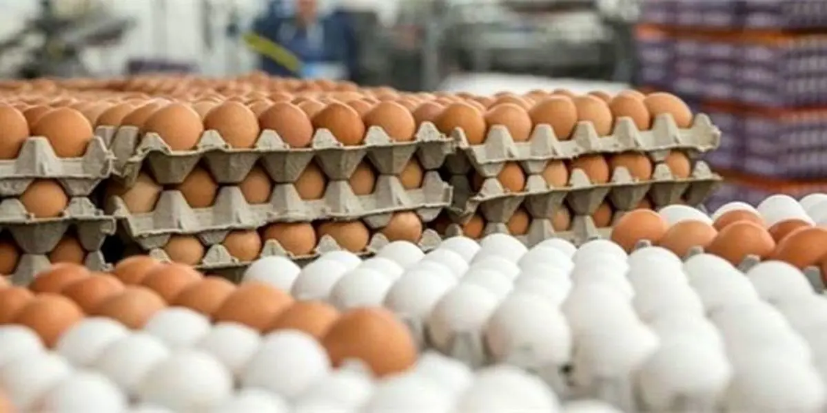 
قیمت مرغ، تخم‌مرغ، لبنیات و روغن تغییر خواهد کرد