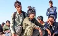 دولت در تدارک اخراج اتباع غیرمجاز؛ طرح شناسایی سراسری کلید خورد