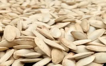 تخمه کدو؛ تنقلات ساده‌ای با خواص شگفت‌انگیز برای بدن