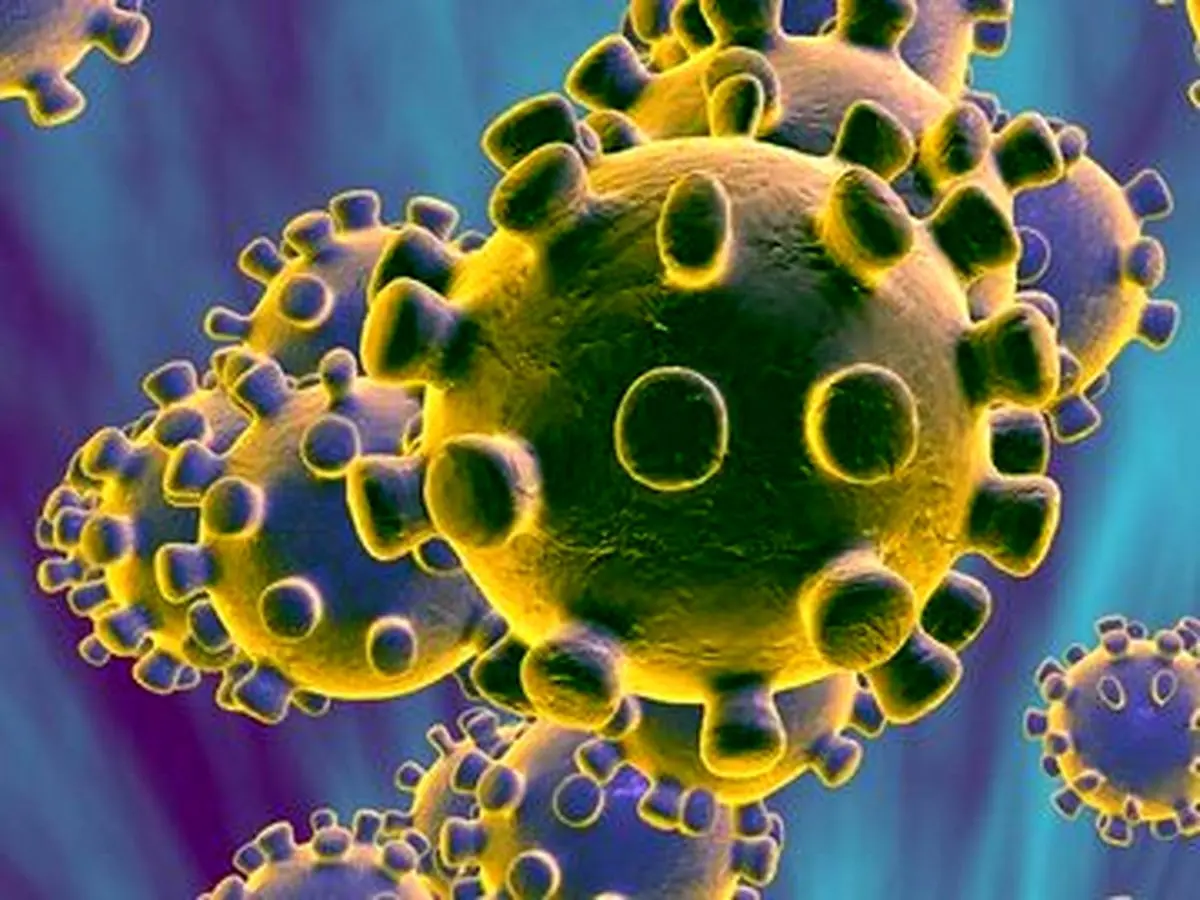 ویروس HPV از استخر منتقل نمیشود؛ به شایعات اینستاگرامی پایان دهید
