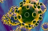 ویروس HPV از استخر منتقل نمی‌شود؛ به شایعات اینستاگرامی پایان دهید