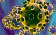ویروس HPV از استخر منتقل نمی‌شود؛ به شایعات اینستاگرامی پایان دهید