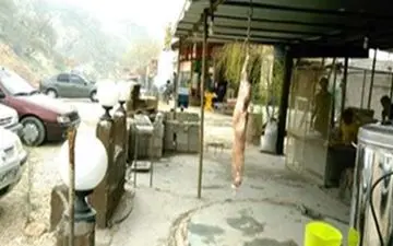 بی‌توجهی مسؤولان و عربده‌کشی متخلفان در 155 فضای بدون مجوز کهگیلویه و بویراحمد