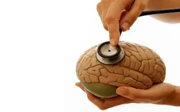 زمانی که مغزتان خودش را میخورد