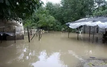 
هشدار درباره وقوع سیلاب‌/ بارش‌های شدید مدیترانه‌ای در غرب و جنوب‌غرب ایران/ این بارش‌ها کم‌آبی را جبران می‌کند؟
