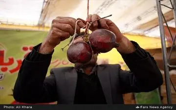 برگزاری همزمان سومین نمایشگاه یلدا با اولین جشنواره شکرانه محصولات کشاورزی