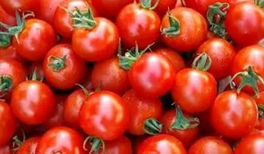 گوجه فرنگی و قیمت عجیب در سال جدید