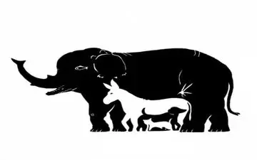 دقت خود را محک بزنید و بگویید چند حیوان در تصویر می‌بینید؟