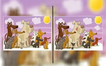 اگر تونستی 10 تفاوت بین این دو تصویر سگ های ملوس را پیدا کنی خیلی باهوشی+ جواب