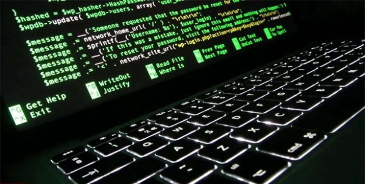 شناسایی بیش از 200 قربانی آلوده به باج افزار در فضای سایبری کشور