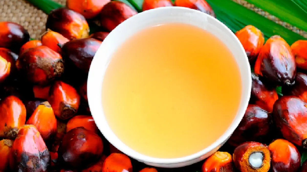 روغن پالم باعث بالا رفتن کلسترول بد خون میشود؟
