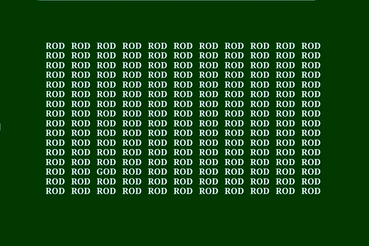 چالش بینایی | آیا می‌توانید کلمه "GOD" را در میان ۱۷۵ کلمه "ROD" بیابید؟ + پاسخ