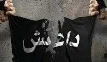اولین عکس از داعشی ها دستگیر شده در غرب کشور 