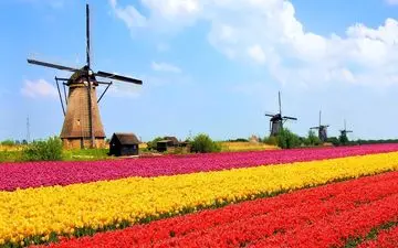 کشور زیبای گل ها و کانال ها