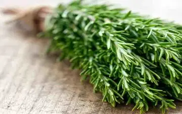  5 گیاه موثر در کاهش علائم آلرژی بهاره