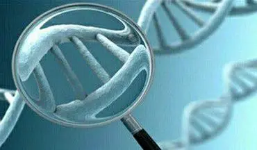 آزمایشگاه ژنتیک پزشکی کرمانشاه در برنامه کشوری تالاسمی عنوان عالی کسب کرد