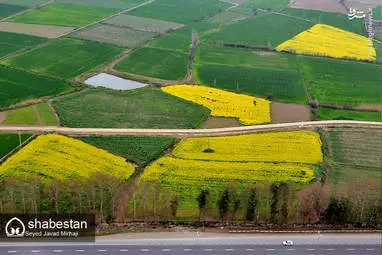 تصاویر هوائی از طبیعت زیبای گرگان