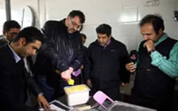 بفرمایید میرزاقاسمی با طعم کپک!!