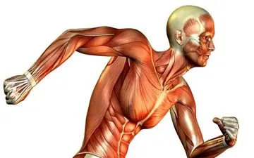 واقعیت های جالب در مورد بدن انسان که دانستن آن ها ضروری است