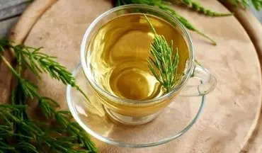 گیاه دم اسبی: ۷ خاصیت شگفت‌انگیز برای سلامتی و زیبایی