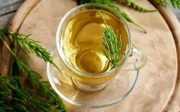 گیاه دم اسبی: ۷ خاصیت شگفت‌انگیز برای سلامتی و زیبایی