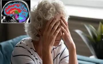 آیا مغز شما پیرتر از سنتان است؟ این آزمایش ساده نشان می‌دهد که چقدر دیگر عمر می‌کنید