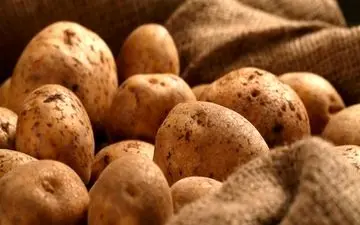 آقایون به 7 دلیل، سیب زمینی زیاد بخورند | خواص مهم و واجب سیب زمینی برای مردان