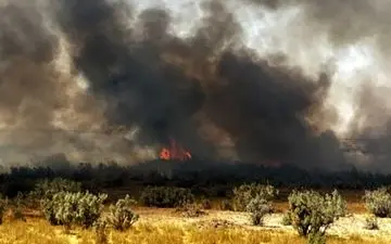 35 هکتار از جنگل نخاب خوسف طعمه حریق شد / آتش کامل مهار شد