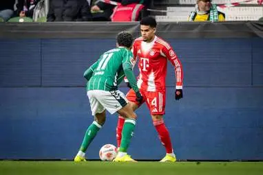 IMG_20260215_023329_796