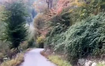 گوشه‌ای از طبیعت پاییزی در لنگرود + فیلم 