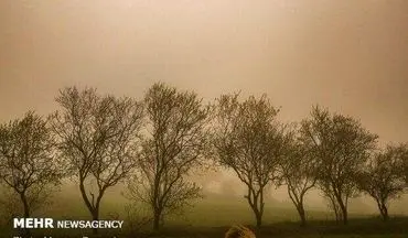 طوفان کرمان را فرا می گیرد