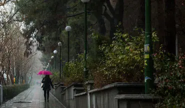 بارش‌ باران، آلودگی هوای تهران را از بین می برد؟