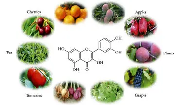 کوئرسیتین چیست و چرا لازم است بخوریم؟ / منابع غذایی سرشار از کوئرسیتین