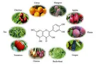 کوئرسیتین چیست و چرا لازم است بخوریم؟ / منابع غذایی سرشار از کوئرسیتین