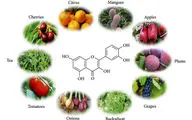 کوئرسیتین چیست و چرا لازم است بخوریم؟ / منابع غذایی سرشار از کوئرسیتین