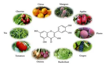 کوئرسیتین چیست و چرا لازم است بخوریم؟ / منابع غذایی سرشار از کوئرسیتین