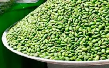 جولان میوه های اعیانی در پایتخت + فیلم