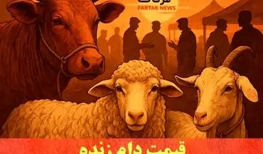 دام زنده امروز چند؟ / نوسان قیمت‌ها در بازارهای استانی